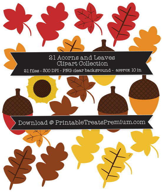 21 Acorns and Leaves Clipart Collection