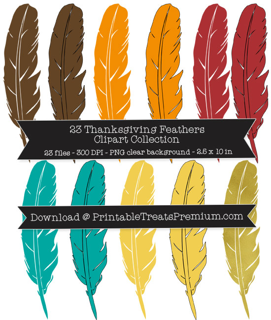 Thanksgiving Feathers Clipart Pack