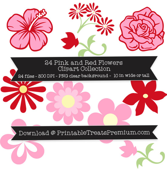24 Pink and Red Flowers Clipart Collection