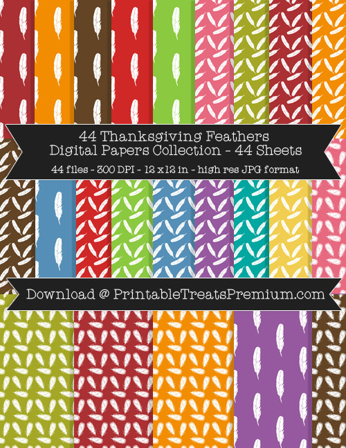 44 Thanksgiving Feathers Digital Papers Collection